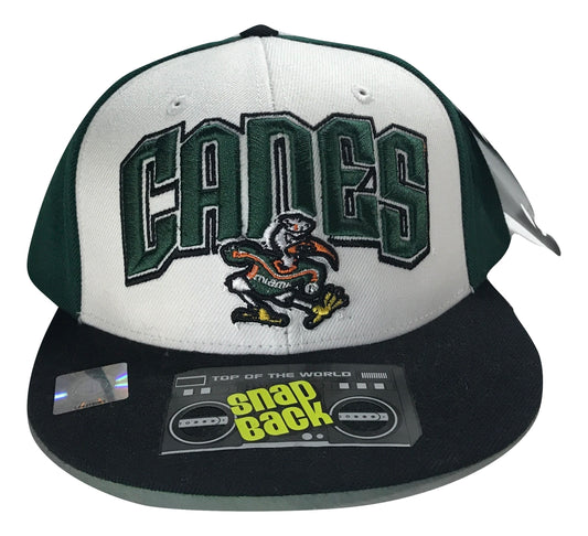 Miami Hurricanes